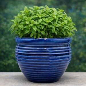 Handcrafted Cobalt Blue Ribbed Ceramic Bowl Planter - 6.5" Frost Resistant